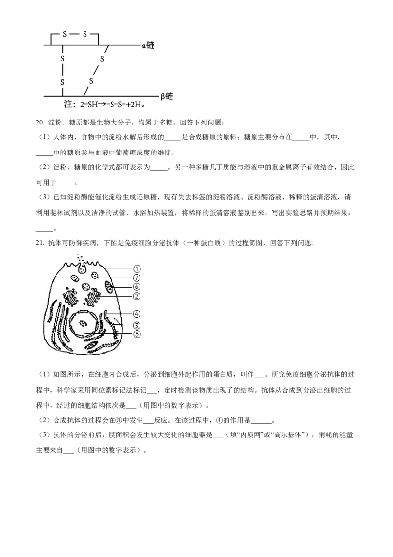 青海省海南州2024-2025学年高一上学期期中质量检测生物试题Word版无答案_2024年12月试卷_1224青海省海南州2024-2025学年高一上学期期中质量检测试题