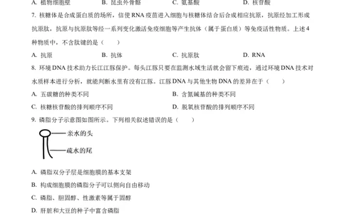 青海省海南州2024-2025学年高一上学期期中质量检测生物试题Word版无答案_2024年12月试卷_1224青海省海南州2024-2025学年高一上学期期中质量检测试题