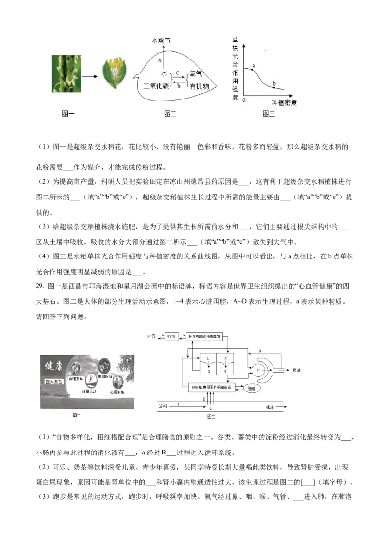 精品解析：2024年四川省凉山州中考生物真题（原卷版）_new_6生物中考复习_2025中考复习资料_中考真题（近三年）_2024年生物中考真题