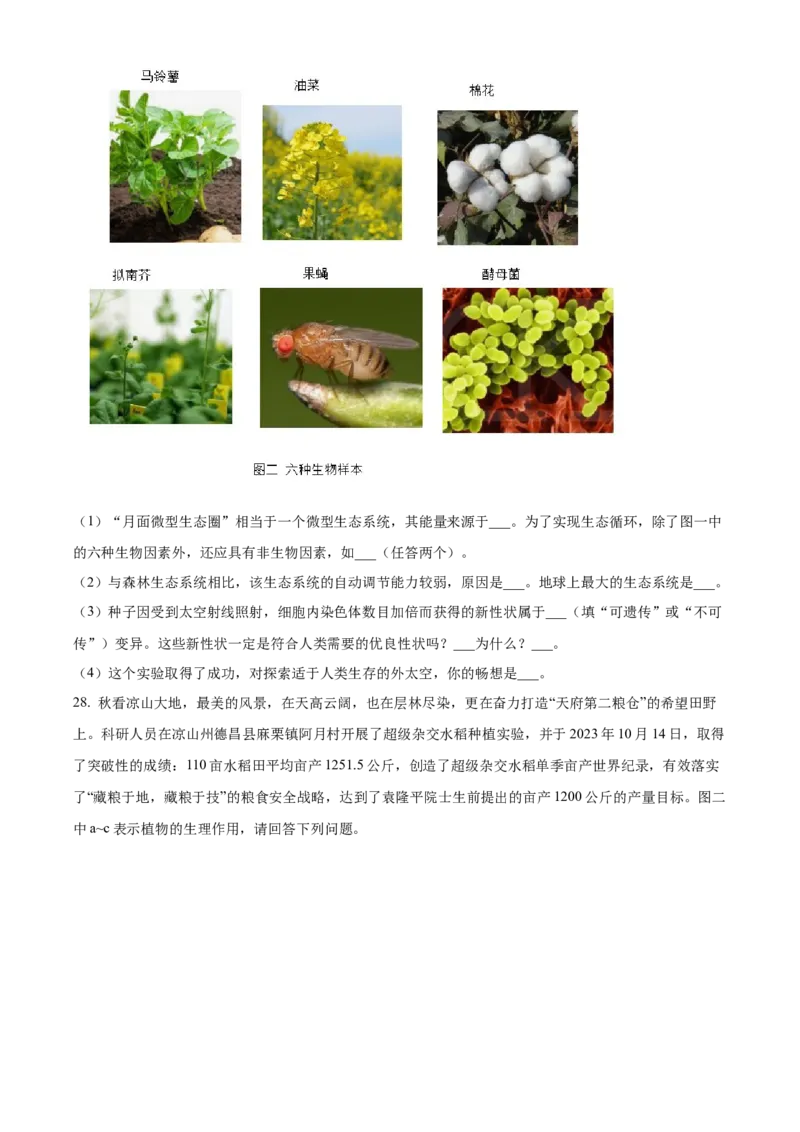 精品解析：2024年四川省凉山州中考生物真题（原卷版）_new_6生物中考复习_2025中考复习资料_中考真题（近三年）_2024年生物中考真题