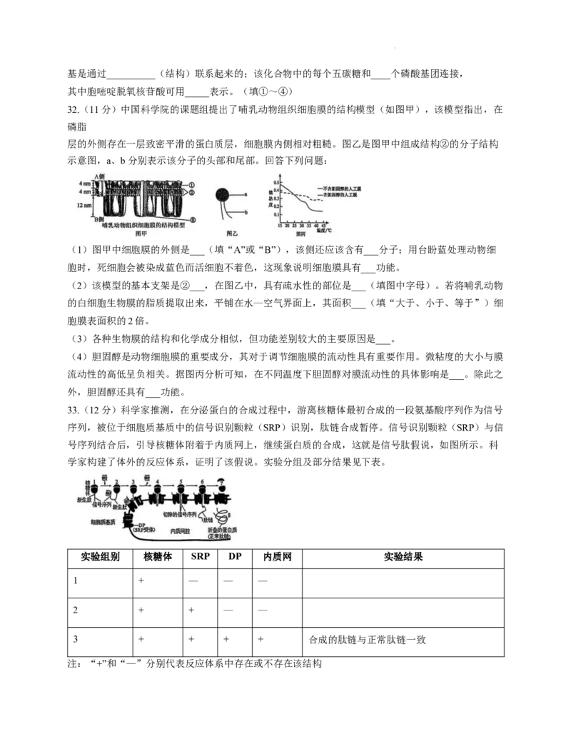重庆市第一中学校2025&mdash;2026学年高一上学期12月期中考试生物试题_2025年12月高一试卷_251220重庆市第一中学校2025-2026学年高一上学期12月期中考试