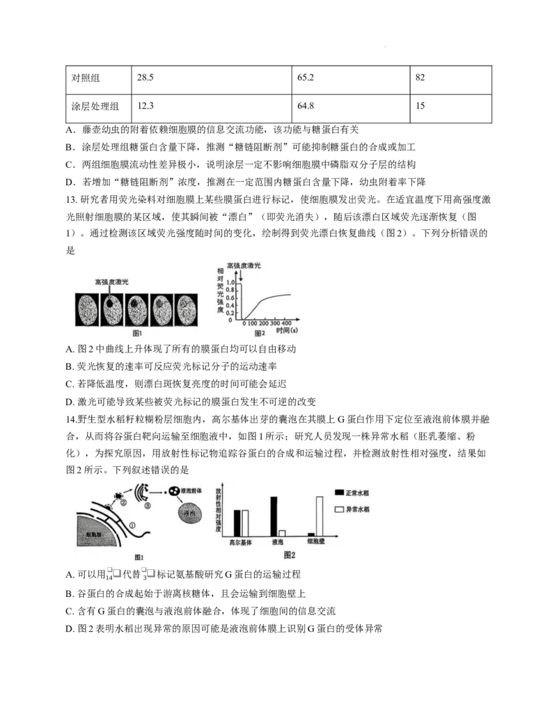 重庆市第一中学校2025&mdash;2026学年高一上学期12月期中考试生物试题_2025年12月高一试卷_251220重庆市第一中学校2025-2026学年高一上学期12月期中考试