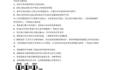 重庆市第一中学校2025&mdash;2026学年高一上学期12月期中考试生物试题_2025年12月高一试卷_251220重庆市第一中学校2025-2026学年高一上学期12月期中考试