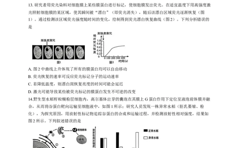 重庆市第一中学校2025&mdash;2026学年高一上学期12月期中考试生物试题_2025年12月高一试卷_251220重庆市第一中学校2025-2026学年高一上学期12月期中考试