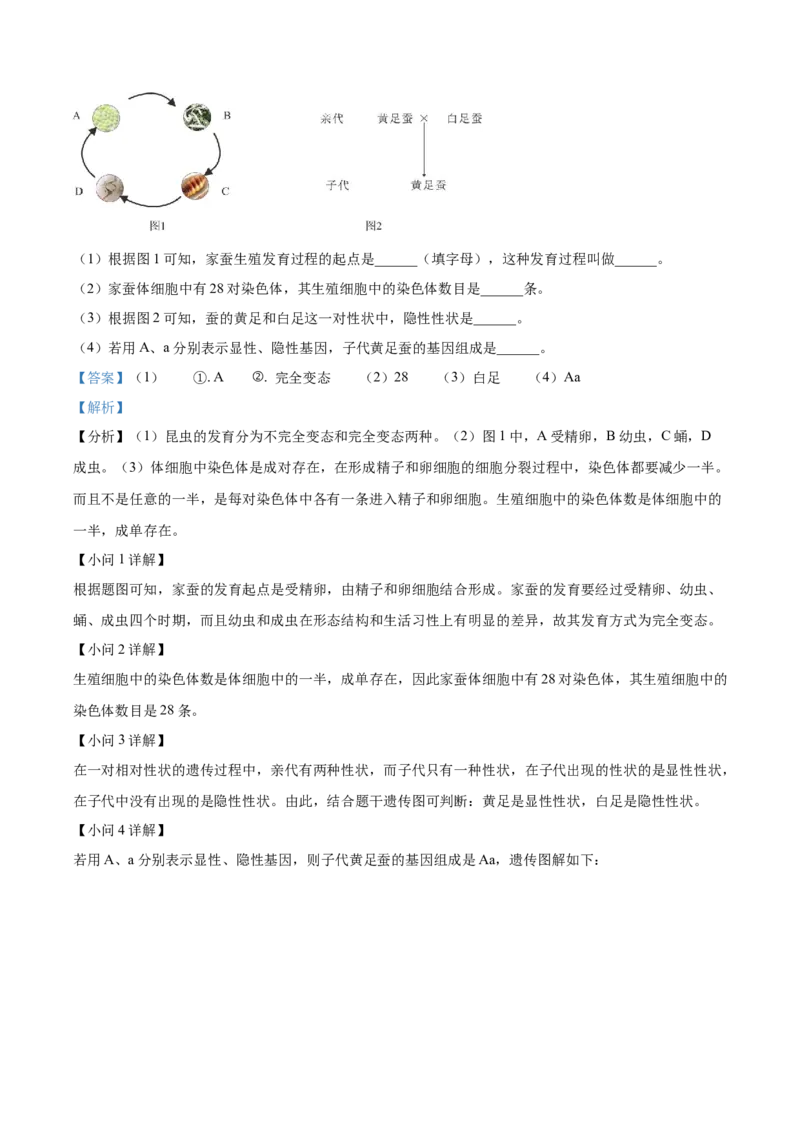 精品解析：2023年甘肃省陇南中考生物真题（解析版）_new_6生物中考复习_2025中考复习资料_中考真题（近三年）_2023年生物中考真题