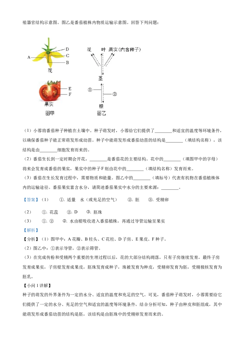 精品解析：2024年四川省成都市中考生物试题（解析版）_new_6生物中考复习_2025中考复习资料_中考真题（近三年）_2024年生物中考真题