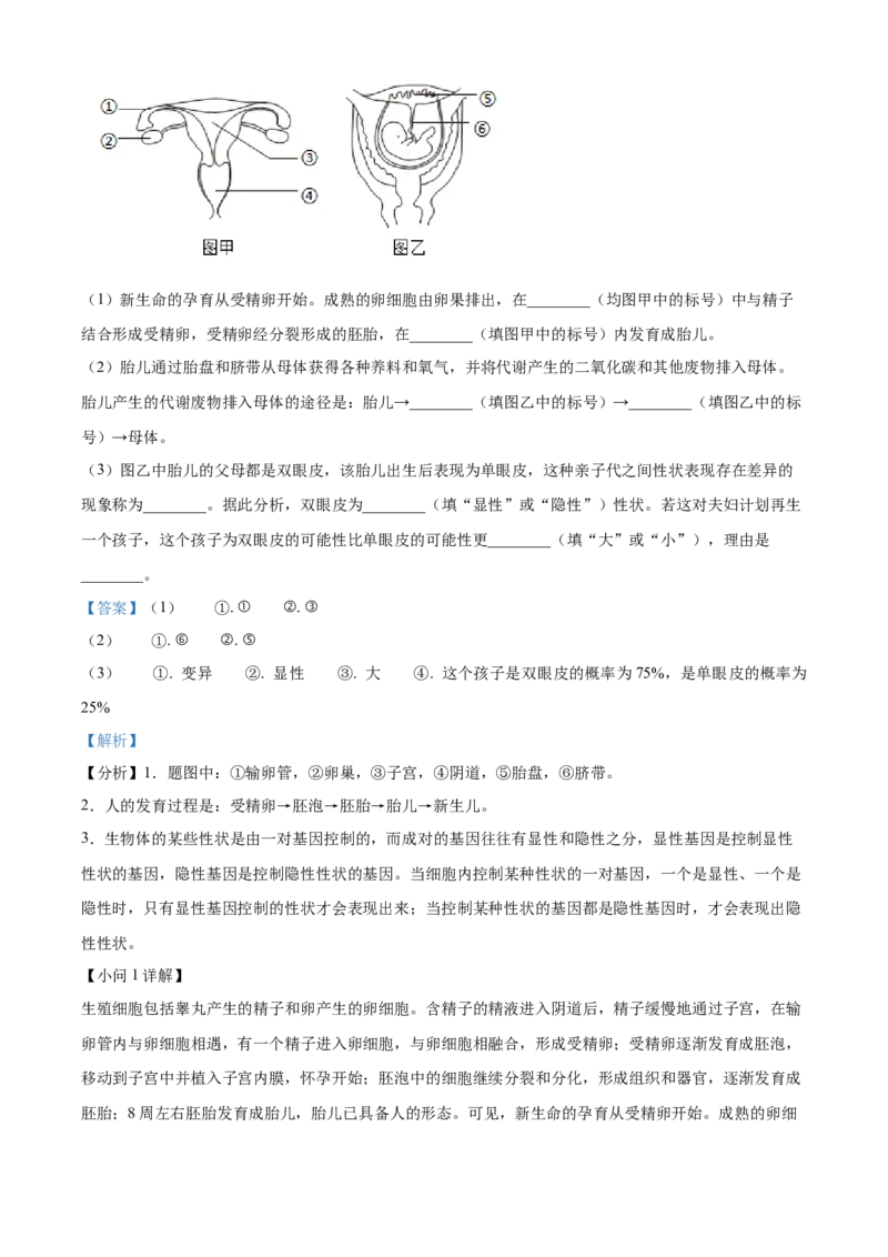 精品解析：2024年四川省成都市中考生物试题（解析版）_new_6生物中考复习_2025中考复习资料_中考真题（近三年）_2024年生物中考真题