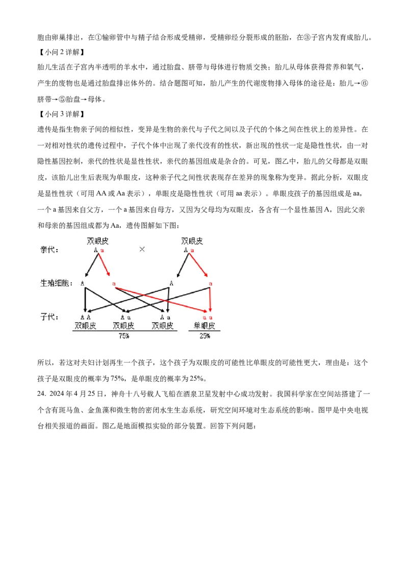 精品解析：2024年四川省成都市中考生物试题（解析版）_new_6生物中考复习_2025中考复习资料_中考真题（近三年）_2024年生物中考真题
