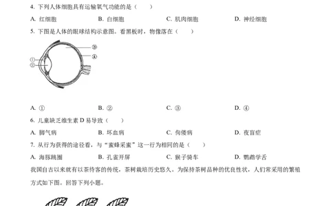精品解析：2023年福建省中考生物真题（原卷版）_new_6生物中考复习_2025中考复习资料_中考真题（近三年）_2023年生物中考真题