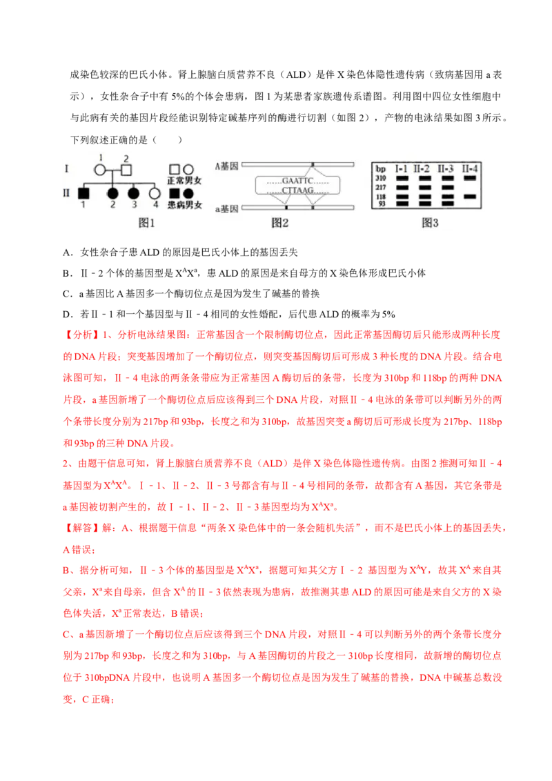题型13伴性遗传的经典题型（题型集训）（解析版）_新高考复习资料_2023年新高考复习资料_二轮复习_技巧点拨备战2023年高考生物二轮题型复习讲解286731240