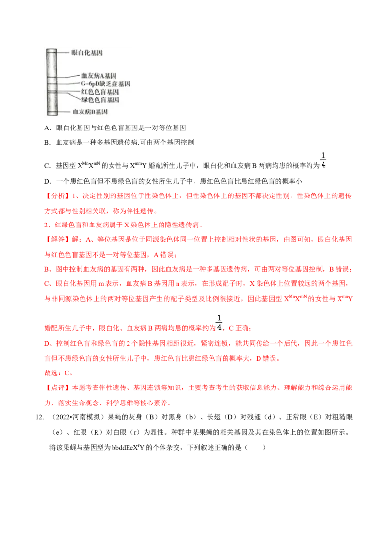 题型13伴性遗传的经典题型（题型集训）（解析版）_新高考复习资料_2023年新高考复习资料_二轮复习_技巧点拨备战2023年高考生物二轮题型复习讲解286731240