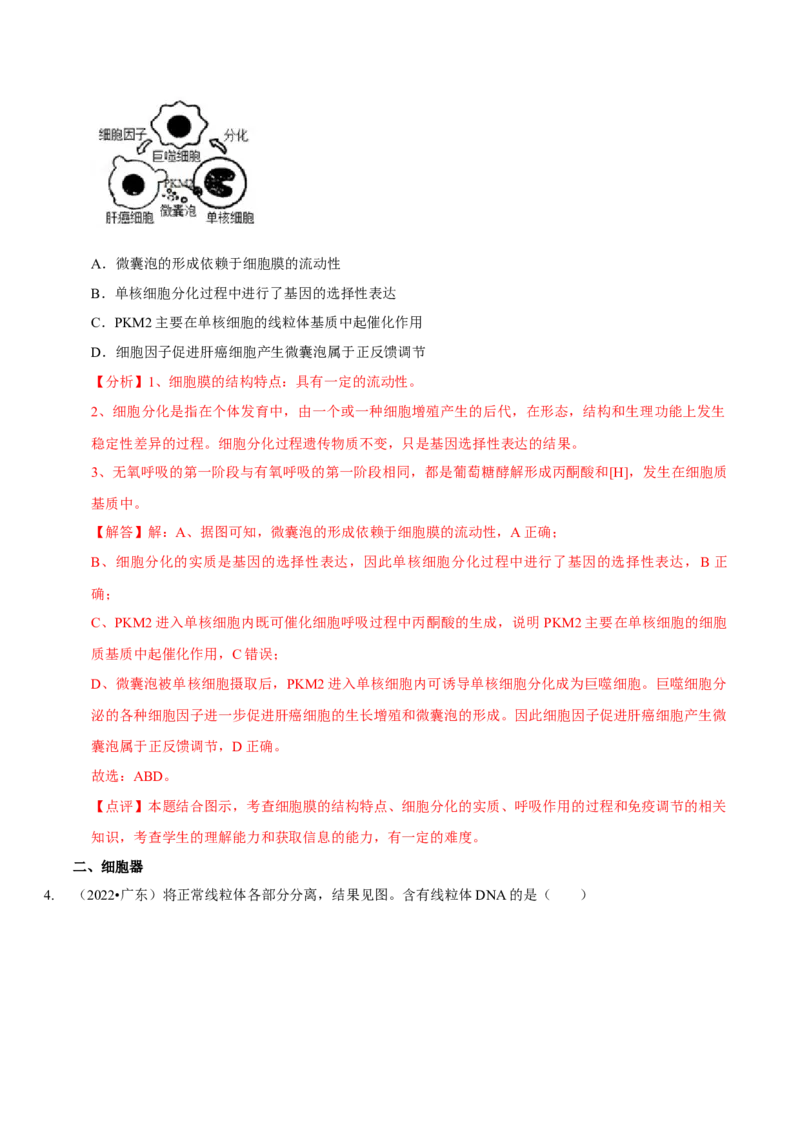 题型2细胞的结构与功能观（题型归纳）（解析版）_新高考复习资料_2023年新高考复习资料_二轮复习_技巧点拨备战2023年高考生物二轮题型复习讲解286731240