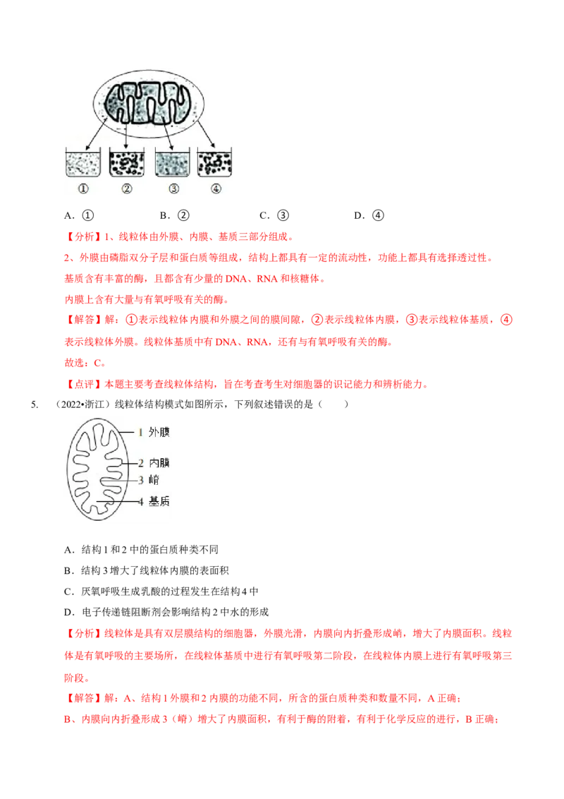 题型2细胞的结构与功能观（题型归纳）（解析版）_新高考复习资料_2023年新高考复习资料_二轮复习_技巧点拨备战2023年高考生物二轮题型复习讲解286731240
