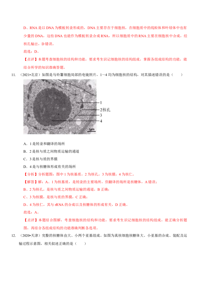 题型2细胞的结构与功能观（题型归纳）（解析版）_新高考复习资料_2023年新高考复习资料_二轮复习_技巧点拨备战2023年高考生物二轮题型复习讲解286731240
