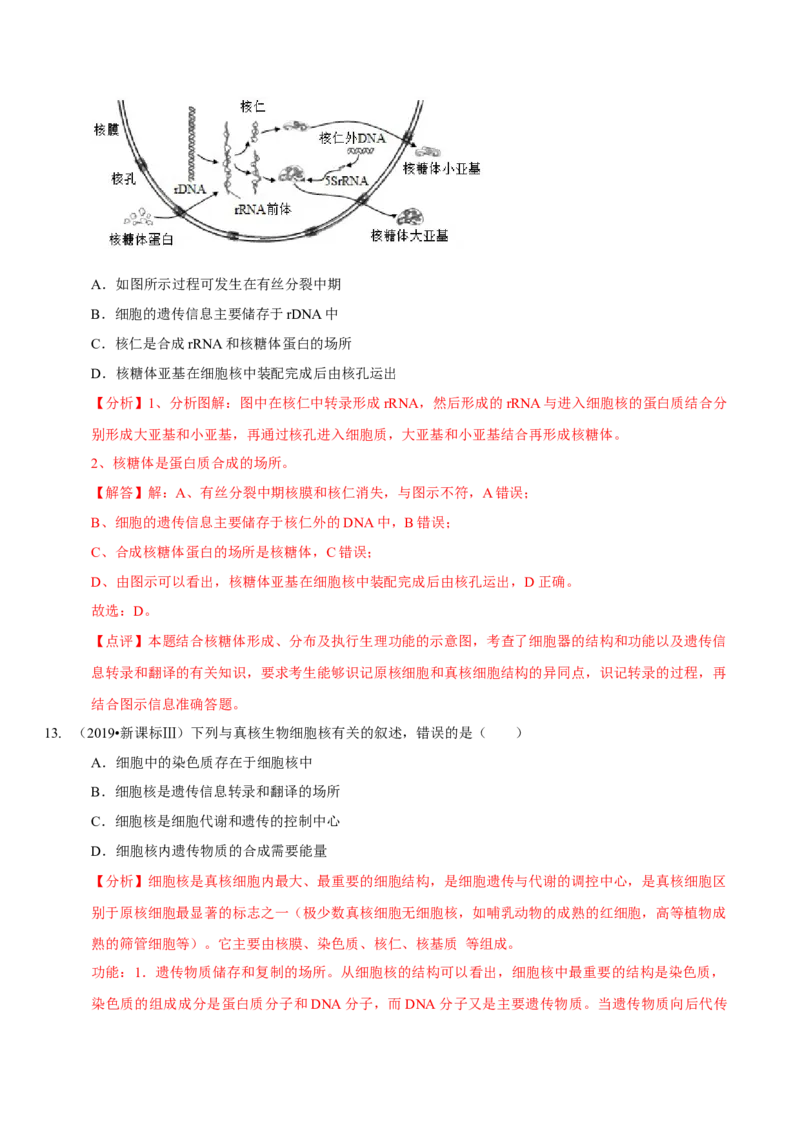 题型2细胞的结构与功能观（题型归纳）（解析版）_新高考复习资料_2023年新高考复习资料_二轮复习_技巧点拨备战2023年高考生物二轮题型复习讲解286731240