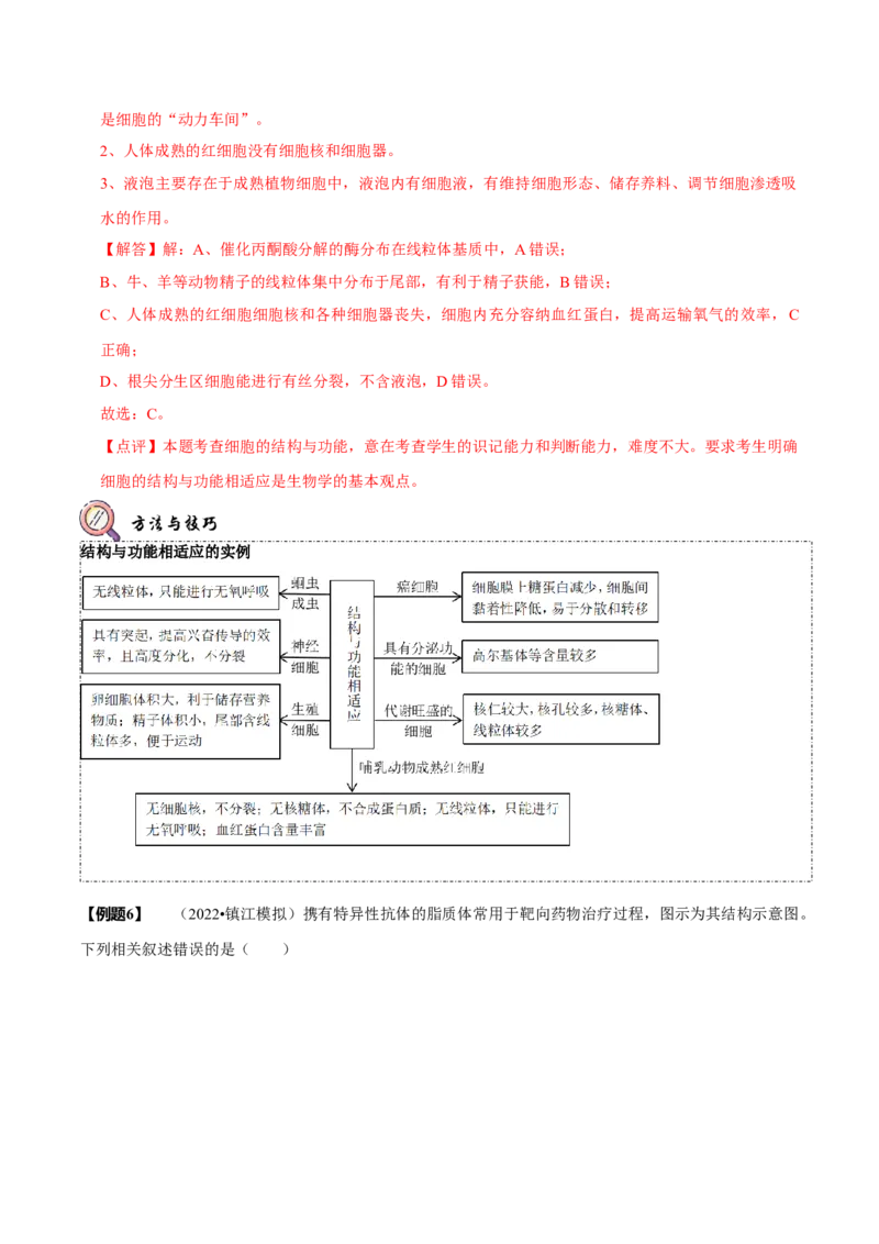 题型2细胞的结构与功能观（题型归纳）（解析版）_新高考复习资料_2023年新高考复习资料_二轮复习_技巧点拨备战2023年高考生物二轮题型复习讲解286731240