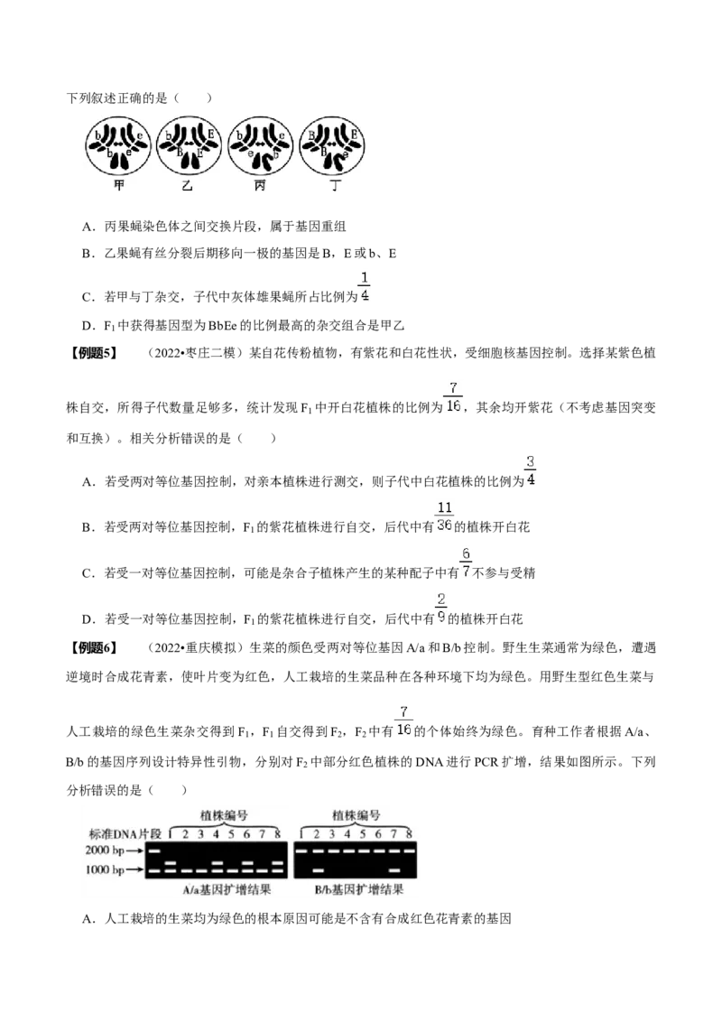 题型12快速突破基因的自由组合定律（题型归纳）-技巧点拨备战2023年高考生物二轮题型复习讲解（原卷版）_新高考复习资料_2023年新高考复习资料_二轮复习