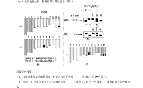 题型12快速突破基因的自由组合定律（题型归纳）-技巧点拨备战2023年高考生物二轮题型复习讲解（原卷版）_新高考复习资料_2023年新高考复习资料_二轮复习