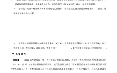题型12快速突破基因的自由组合定律（题型归纳）-技巧点拨备战2023年高考生物二轮题型复习讲解（原卷版）_新高考复习资料_2023年新高考复习资料_二轮复习