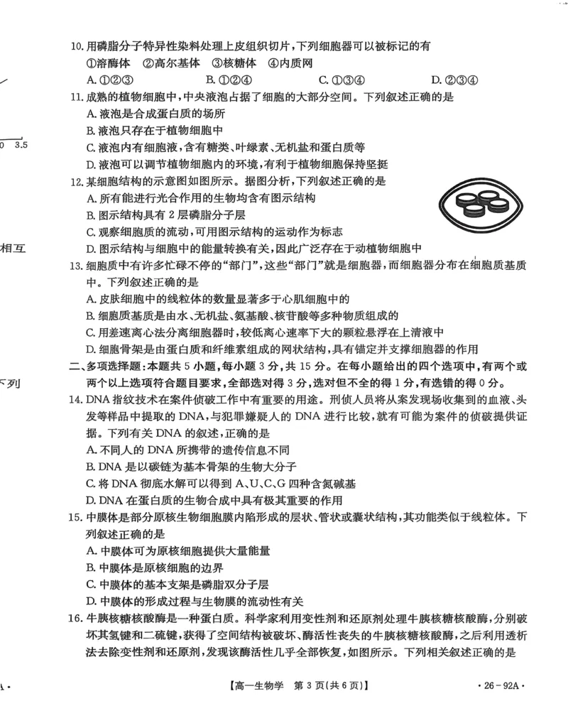 邢台市2025~2026学年高一（上）学期第二次月考生物学_2025年12月高一试卷_251205河北省邢台市质检联盟2025-2026学年高一上学期11月期中