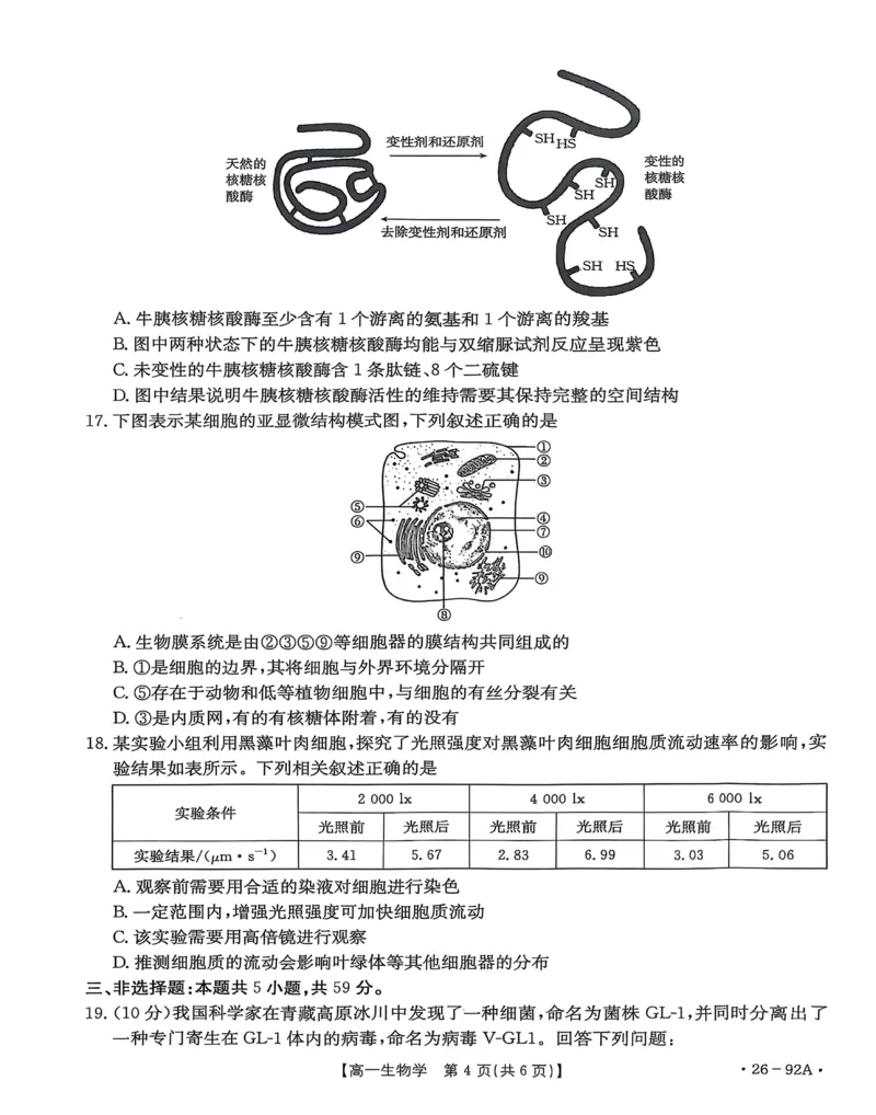 邢台市2025~2026学年高一（上）学期第二次月考生物学_2025年12月高一试卷_251205河北省邢台市质检联盟2025-2026学年高一上学期11月期中