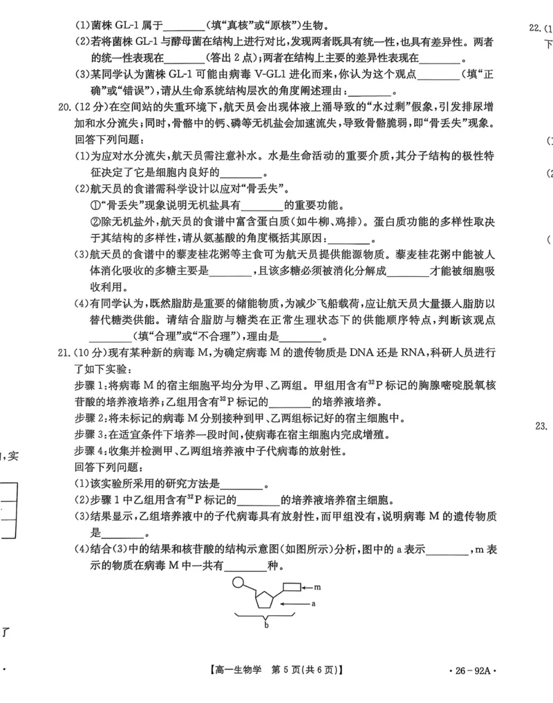 邢台市2025~2026学年高一（上）学期第二次月考生物学_2025年12月高一试卷_251205河北省邢台市质检联盟2025-2026学年高一上学期11月期中