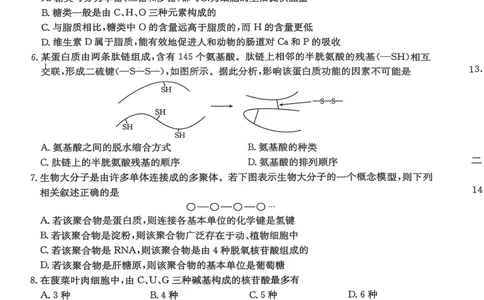 邢台市2025~2026学年高一（上）学期第二次月考生物学_2025年12月高一试卷_251205河北省邢台市质检联盟2025-2026学年高一上学期11月期中