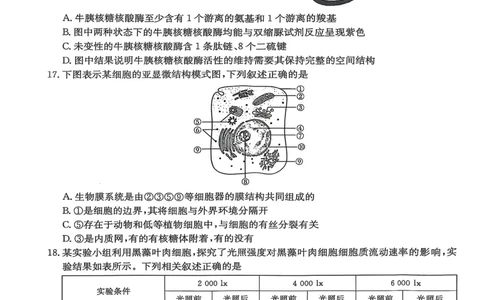 邢台市2025~2026学年高一（上）学期第二次月考生物学_2025年12月高一试卷_251205河北省邢台市质检联盟2025-2026学年高一上学期11月期中