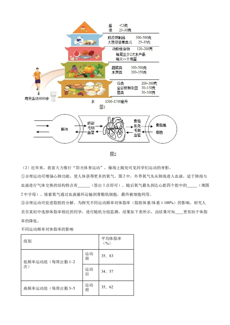 精品解析：2024年湖北省中考生物真题（解析版）_new_6生物中考复习_2025中考复习资料_中考真题（近三年）_2024年生物中考真题