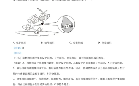 精品解析：2024年湖北省中考生物真题（解析版）_new_6生物中考复习_2025中考复习资料_中考真题（近三年）_2024年生物中考真题