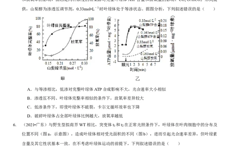 题型7光合作用与细胞呼吸相关的实验探究（题型归纳）（原卷版）_新高考复习资料_2023年新高考复习资料_二轮复习_技巧点拨备战2023年高考生物二轮题型复习讲解286731240