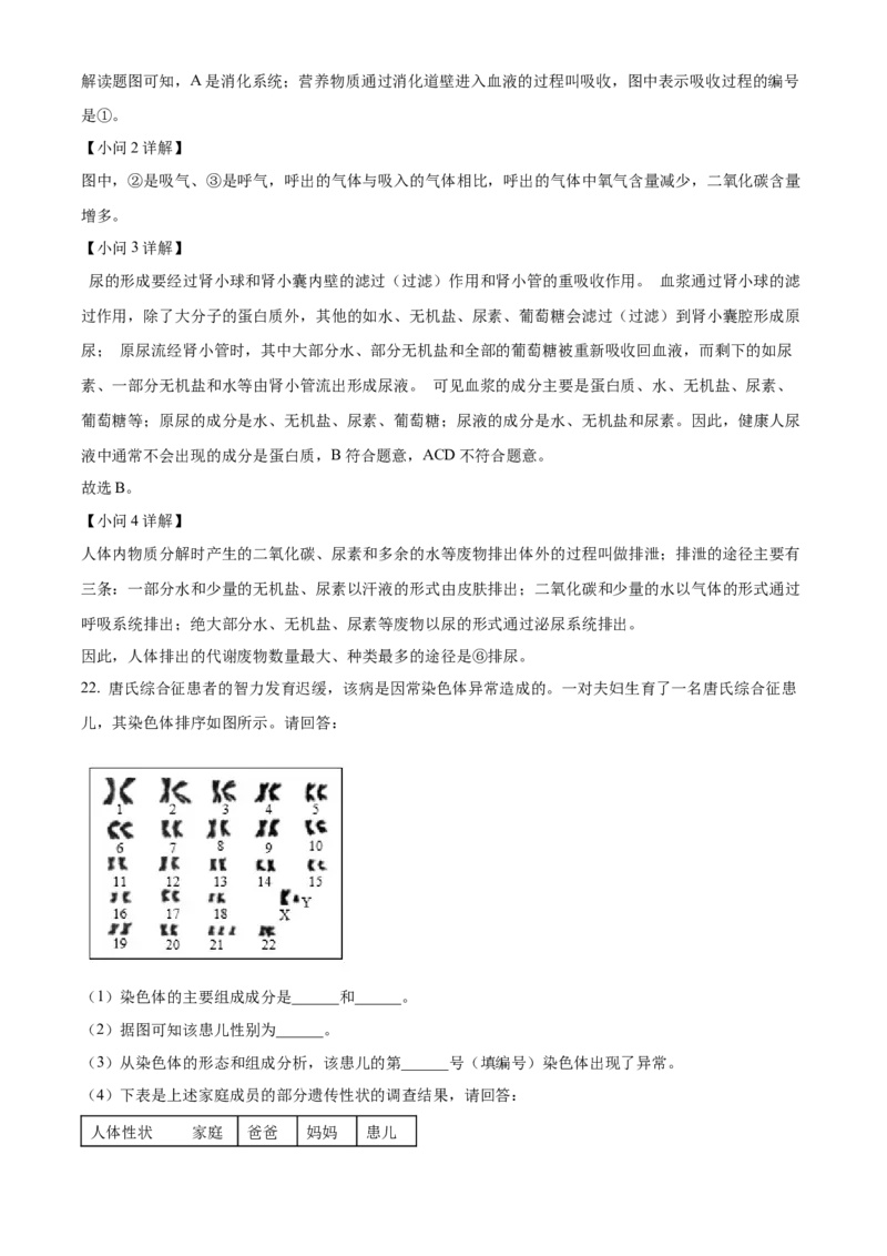 精品解析：2024年上海市中考生物试题（解析版）_new_6生物中考复习_2025中考复习资料_中考真题（近三年）_2024年生物中考真题