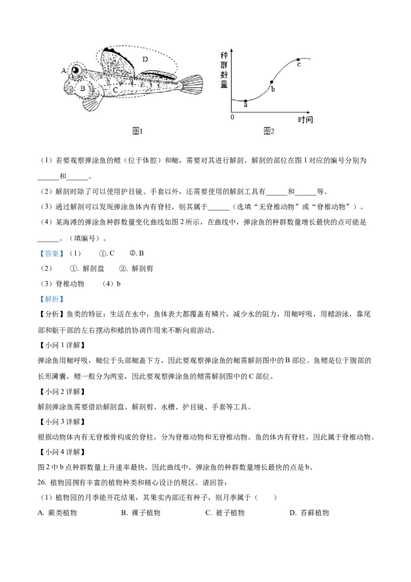 精品解析：2024年上海市中考生物试题（解析版）_new_6生物中考复习_2025中考复习资料_中考真题（近三年）_2024年生物中考真题