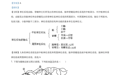 精品解析：2024年上海市中考生物试题（解析版）_new_6生物中考复习_2025中考复习资料_中考真题（近三年）_2024年生物中考真题