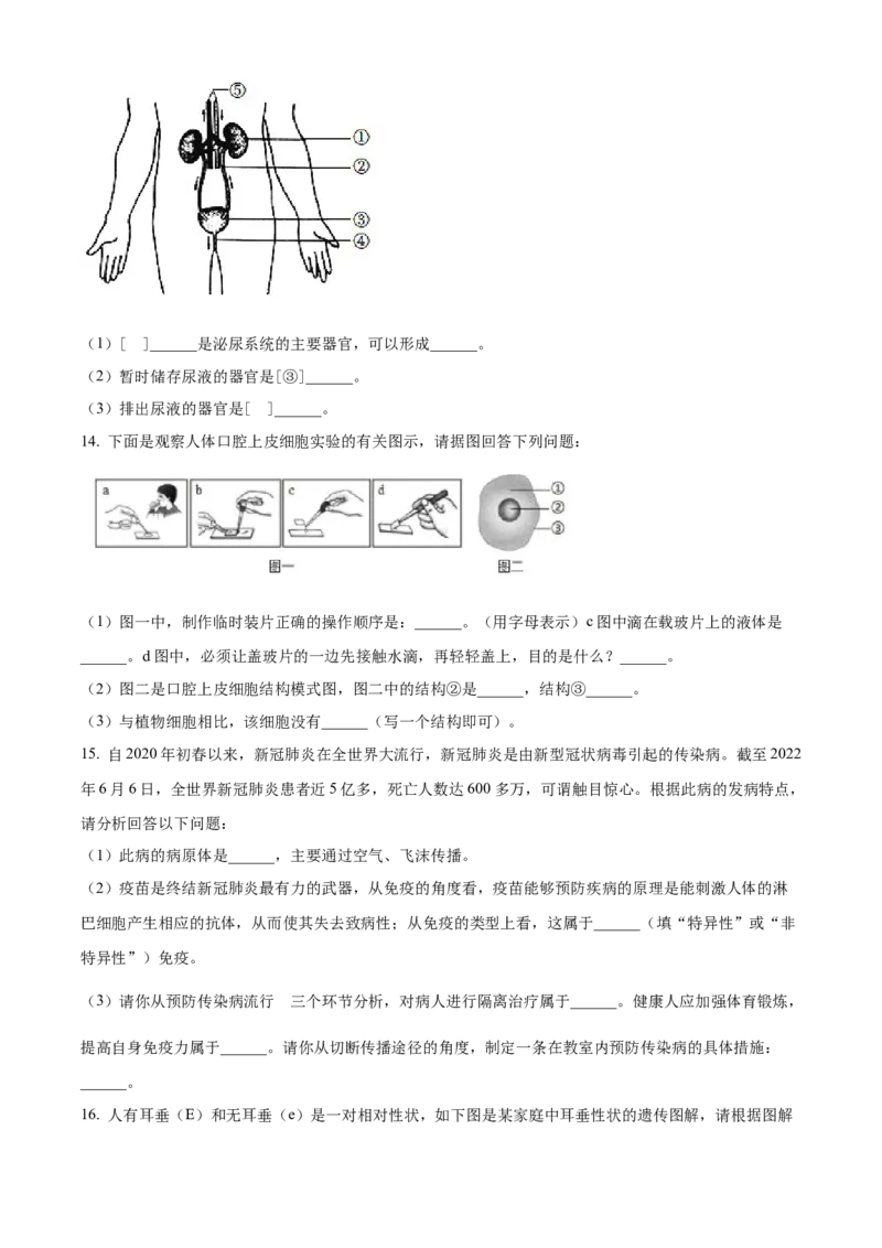 精品解析：2022年辽宁省本溪市本溪县初中结业考试生物试题（原卷版）_6生物中考复习_2025中考复习资料_中考真题（近三年）_2022年生物中考真题114份