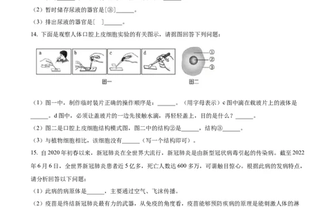 精品解析：2022年辽宁省本溪市本溪县初中结业考试生物试题（原卷版）_6生物中考复习_2025中考复习资料_中考真题（近三年）_2022年生物中考真题114份
