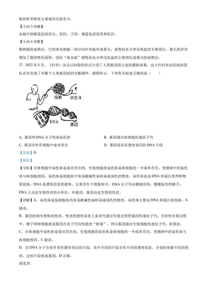 精品解析：2022年新疆维吾尔自治区新疆生产建设兵团中考生物真题（解析版）_6生物中考复习_2025中考复习资料_中考真题（近三年）_2022年生物中考真题114份