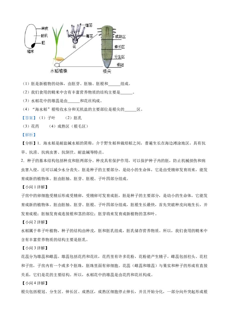 精品解析：2022年新疆维吾尔自治区新疆生产建设兵团中考生物真题（解析版）_6生物中考复习_2025中考复习资料_中考真题（近三年）_2022年生物中考真题114份