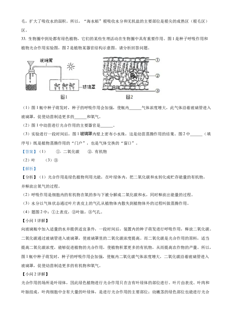 精品解析：2022年新疆维吾尔自治区新疆生产建设兵团中考生物真题（解析版）_6生物中考复习_2025中考复习资料_中考真题（近三年）_2022年生物中考真题114份