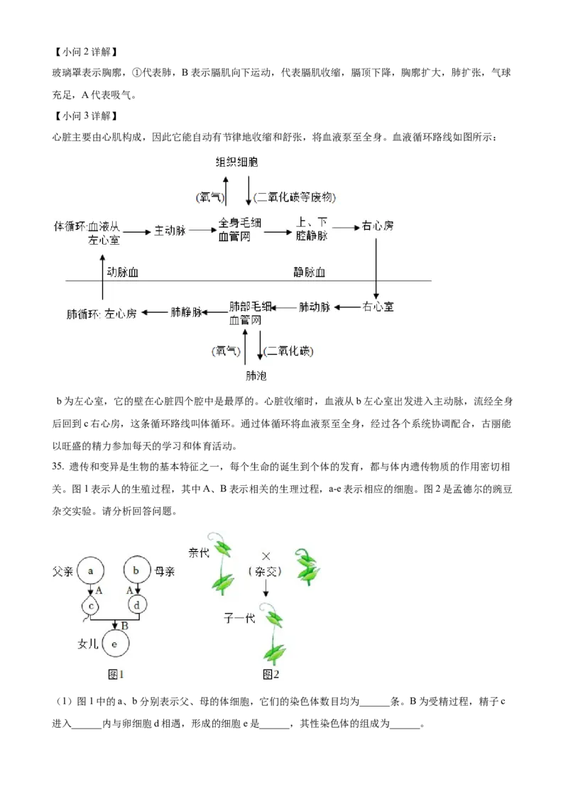 精品解析：2022年新疆维吾尔自治区新疆生产建设兵团中考生物真题（解析版）_6生物中考复习_2025中考复习资料_中考真题（近三年）_2022年生物中考真题114份