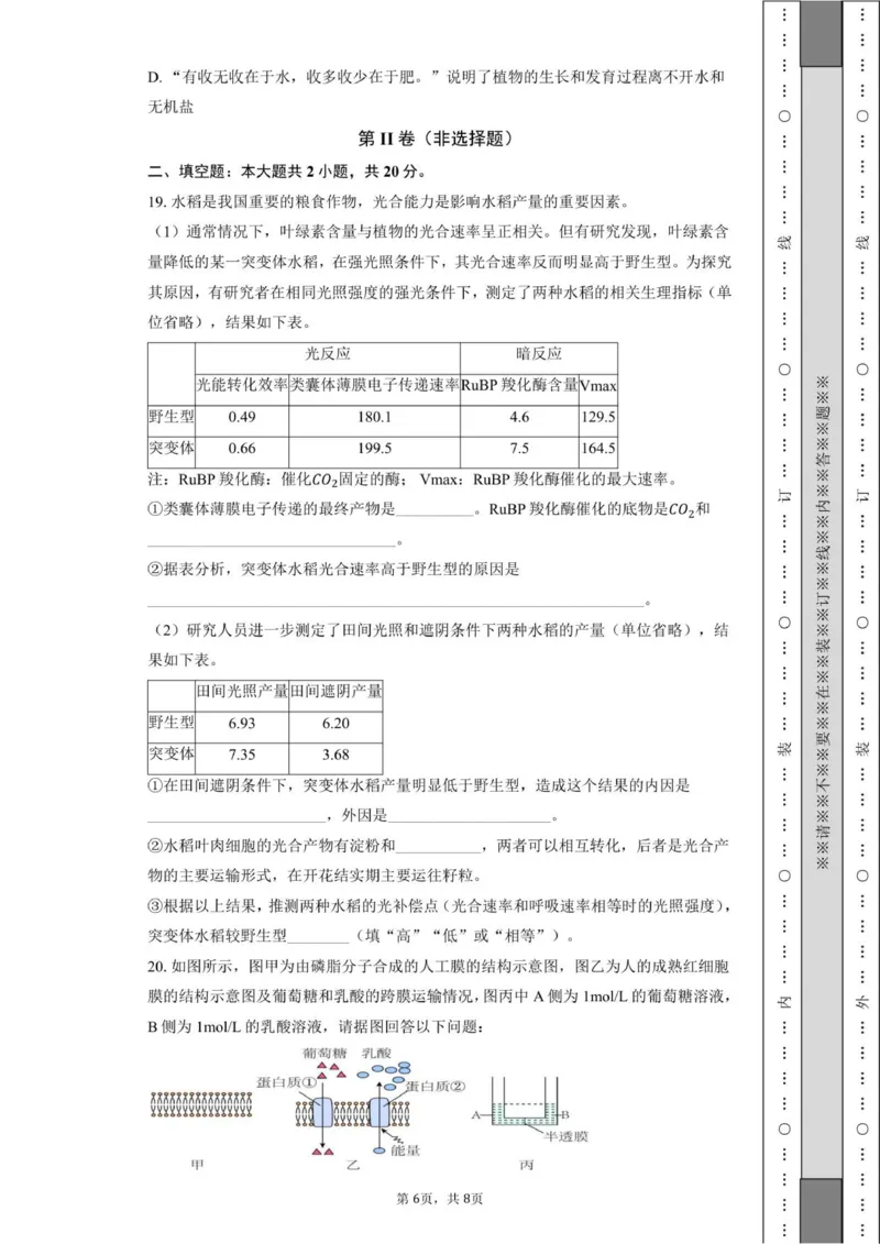 金益高中高一12月份阶段性检测-学生用卷_20251222161846_2026年01月高一试卷_260111湖北省孝感市汉川市金益高级中学2025-2026学年高一上学期12月月考