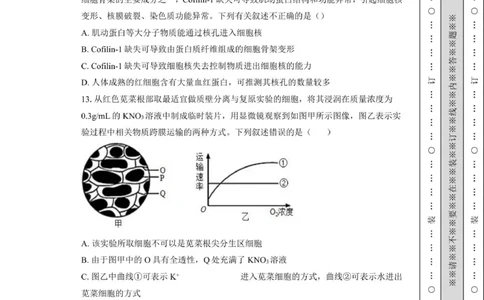 金益高中高一12月份阶段性检测-学生用卷_20251222161846_2026年01月高一试卷_260111湖北省孝感市汉川市金益高级中学2025-2026学年高一上学期12月月考