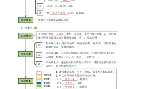 题型7光合作用与细胞呼吸相关的实验探究（核心知识）（解析版）_新高考复习资料_2023年新高考复习资料_二轮复习_技巧点拨备战2023年高考生物二轮题型复习讲解286731240
