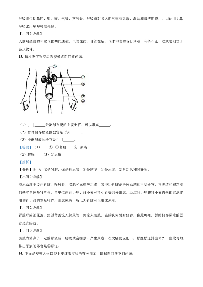 精品解析：2022年辽宁省本溪市本溪县初中结业考试生物试题（解析版）_6生物中考复习_2025中考复习资料_中考真题（近三年）_2022年生物中考真题114份