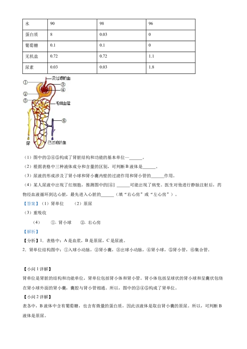 精品解析：2022年湖南省衡阳市中考生物真题（解析版）_6生物中考复习_2025中考复习资料_中考真题（近三年）_2022年生物中考真题114份_精品解析：2022年湖南省衡阳市中考生物真题
