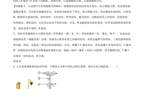 精品解析：2023年湖北省宜昌市中考生物真题（解析版）_new_6生物中考复习_2025中考复习资料_中考真题（近三年）_2023年生物中考真题