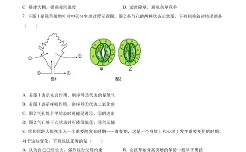 精品解析：2024年四川省乐山市中考生物真题（原卷版）_new_6生物中考复习_2025中考复习资料_中考真题（近三年）_2024年生物中考真题