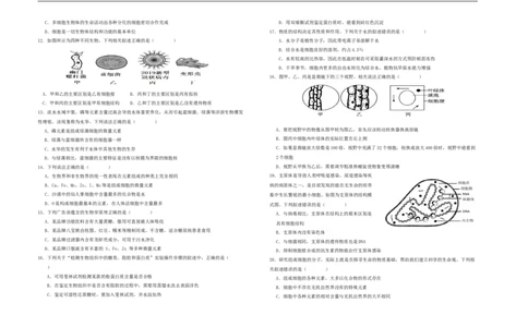 陕西省汉中市西乡县第一中学2025-2026学年高一上学期9月月考生物试题_2025年10月高一试卷_251008陕西省汉中市西乡县第一中学2025-2026学年高一上学期9月月考