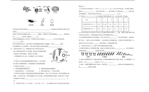 陕西省汉中市西乡县第一中学2025-2026学年高一上学期9月月考生物试题_2025年10月高一试卷_251008陕西省汉中市西乡县第一中学2025-2026学年高一上学期9月月考