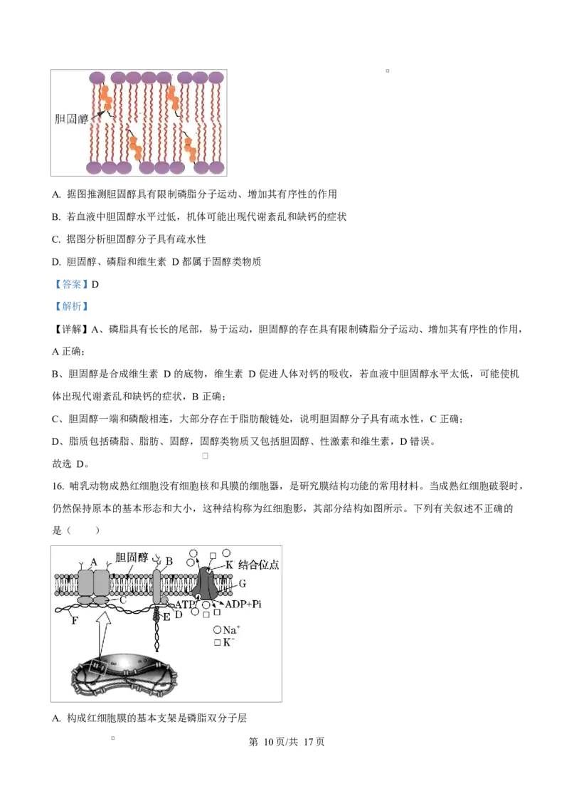 重庆市长寿中学2025-2026学年高一上学期11月期中生物试题Word版含解析_2025年11月高一试卷_251125重庆市长寿中学2025-2026学年高一上学期11月期中（全）